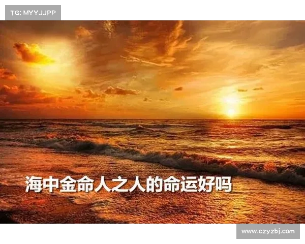 从中金看生活中的普通人:追梦路上的坚持与努力(中金 这是个名利场) 从中金看生活中的普通人:追梦路上的坚持与努力(中金 这是个名利场)